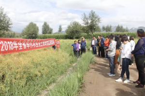 AG 环亚集团：科技农业发展
