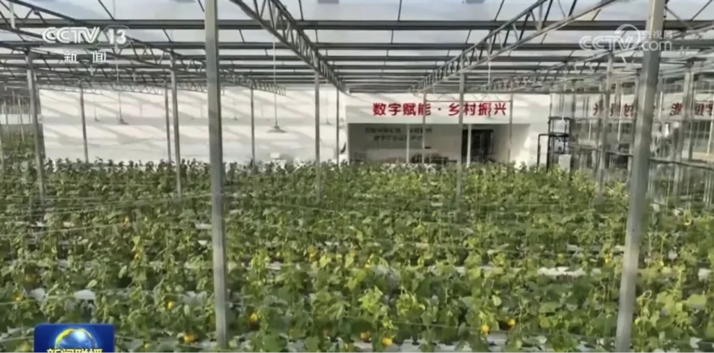 AG环亚农机如何推动乡村振兴 AG环亚农机如何推动乡村振兴