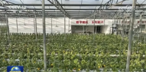 AG环亚农机如何推动乡村振兴